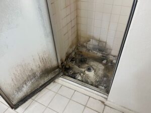 Bathroom Mold