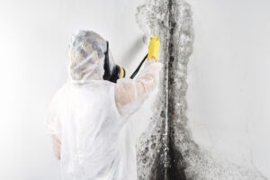 Black,Mold,Removal,Near,Me,Processes,The,Walls,From,Mold.