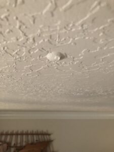 Ceiling Wet From Leak