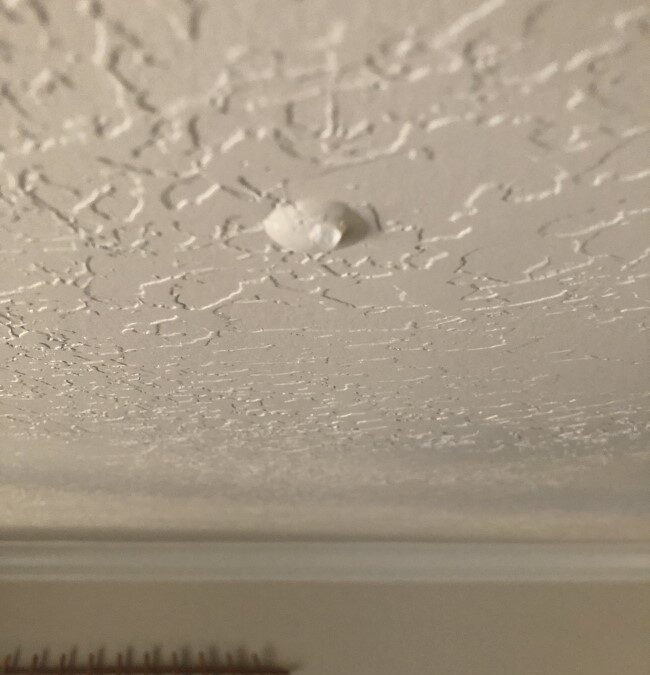 Ceiling wet from leak