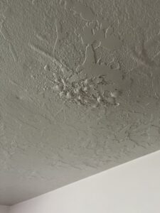 Ceiling Wet From Leak
