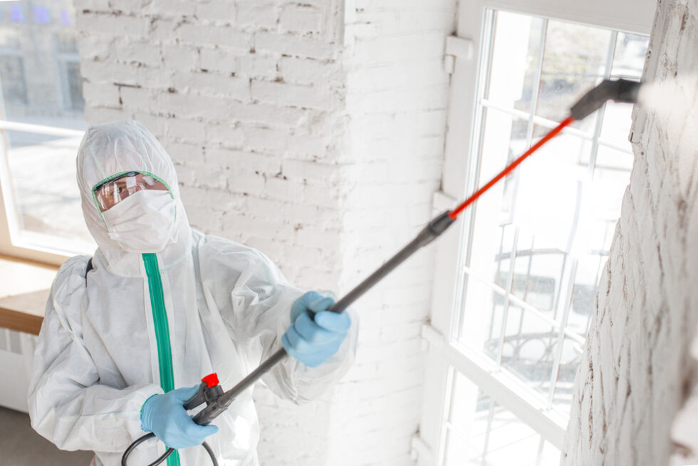 Certified Mold Remediation Contractor Near Me Armor Restoration