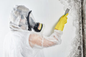 Companies, That,Clean,MoldA,Professional,Disinfector,In,Overalls,Processes,The,Walls,From,Mold