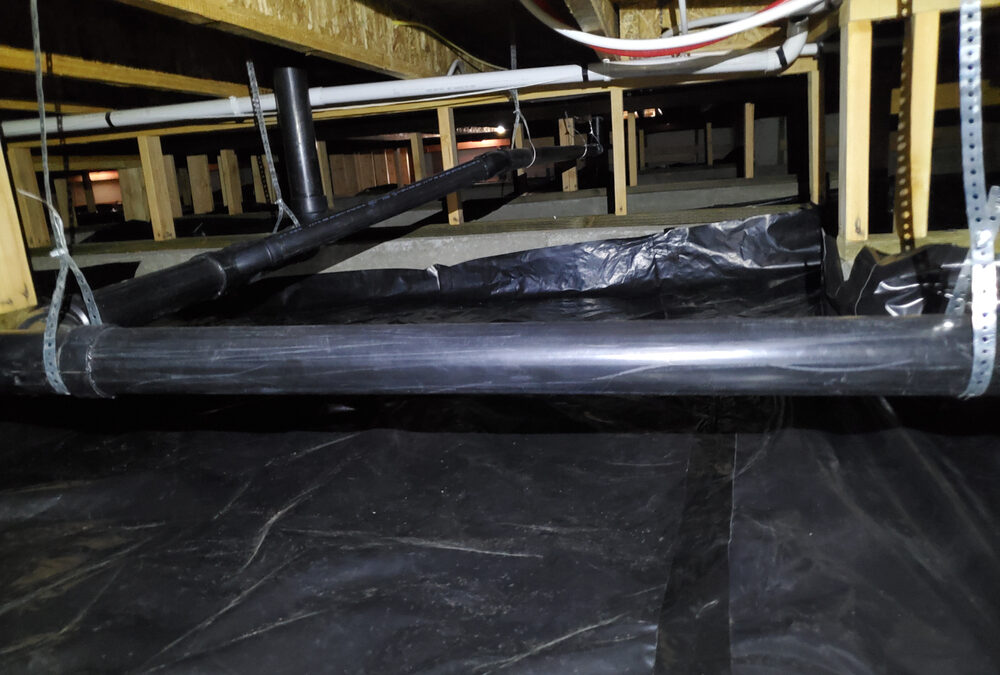 Qualified Crawl Space Cleaning Companies Near Me