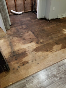 Water,Migration,In,Subfloor,call,flood,restoration,company,near,me