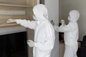 Home Mold Removal Companies