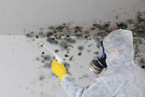 mold,cleanup,near,me,Removing,Mold,Fungus,With,Respirator,Mask