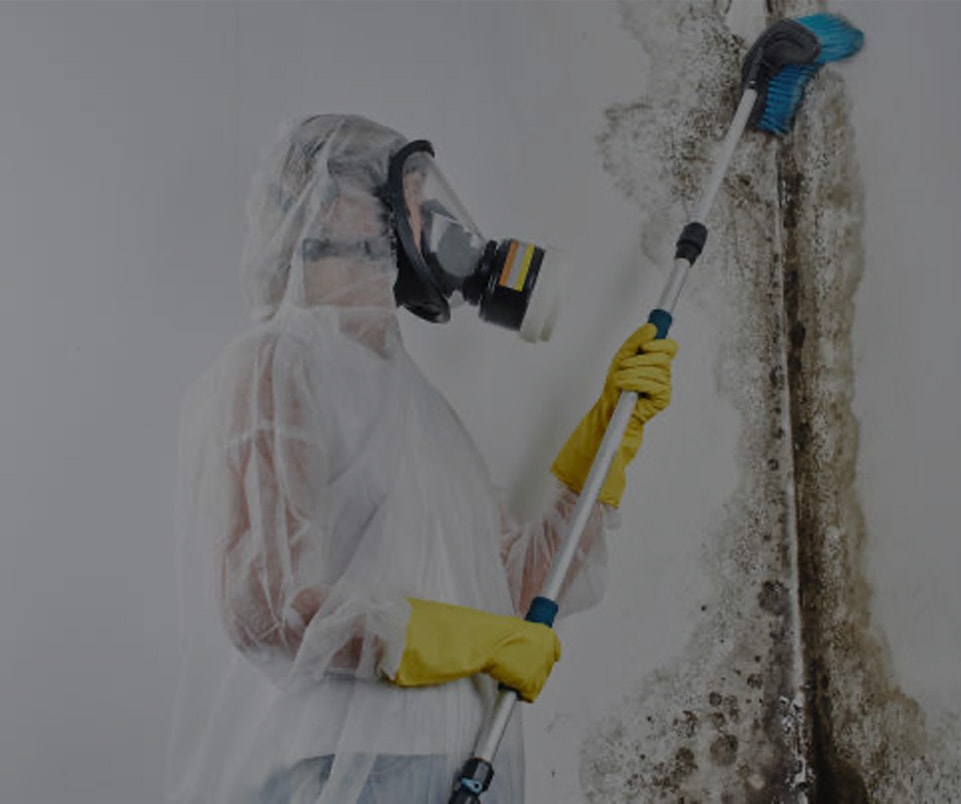 man wearing protective suit cleaning molds