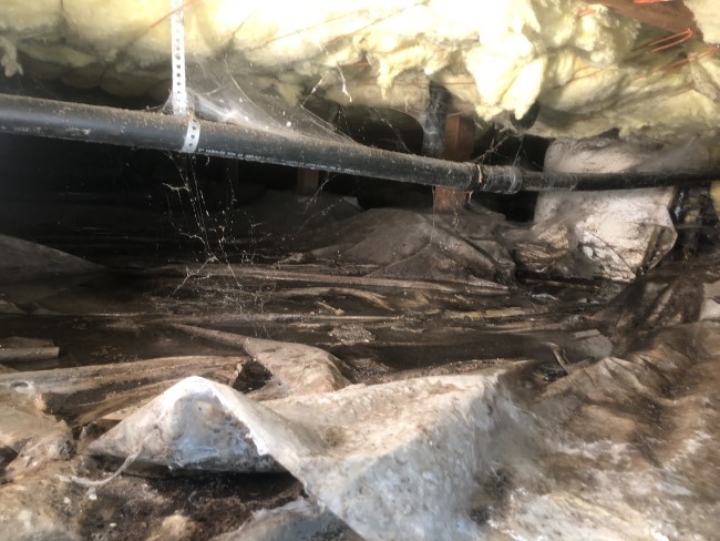 Why you should never ignore water in your crawl space