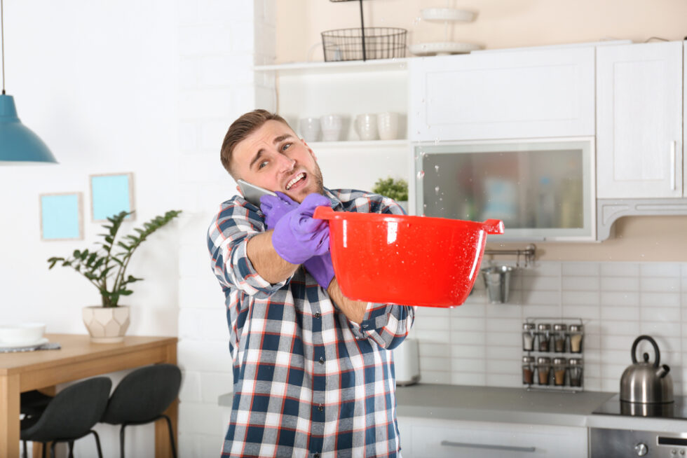 Mold Remediation Companies Near Me Provide Expert Services for Safe and Effective Mold Removal