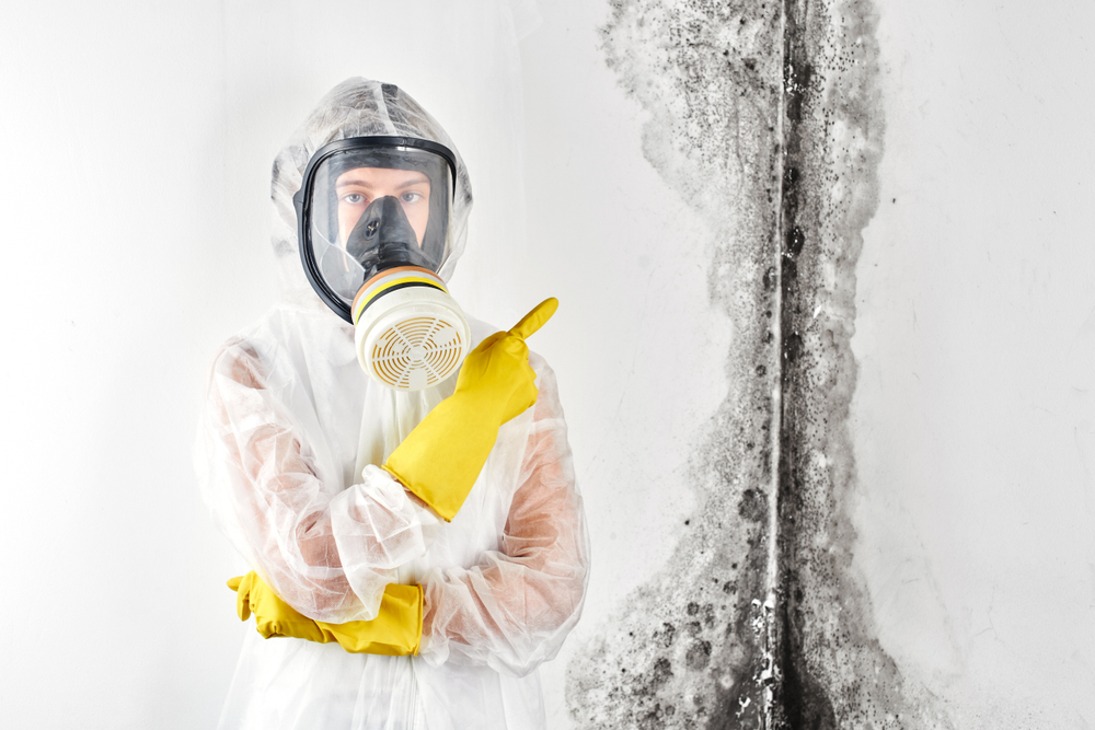 Who-to-call-for-mold-removal